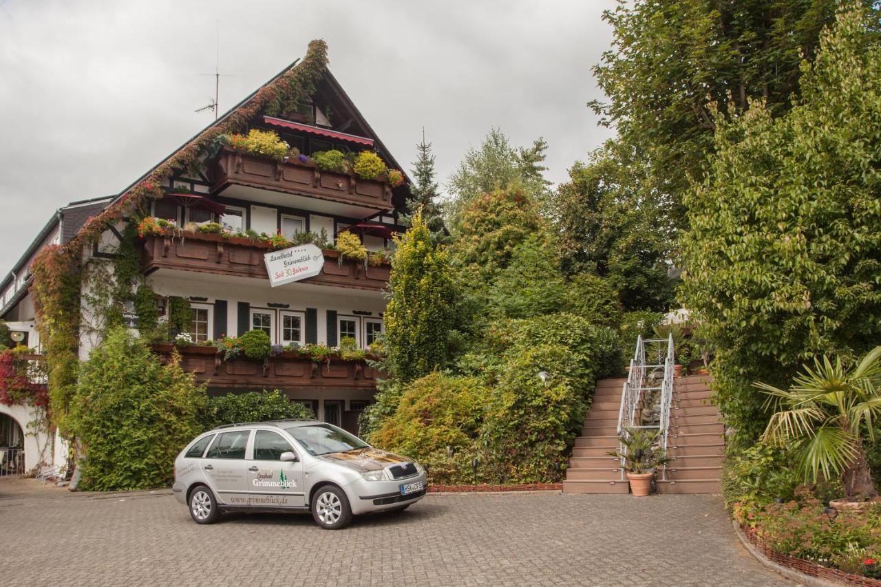 Landhotel Grimmeblick Winterberg Exteriér fotografie