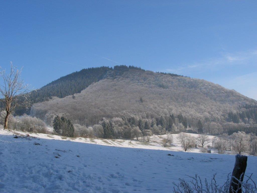 Landhotel Grimmeblick Winterberg Exteriér fotografie